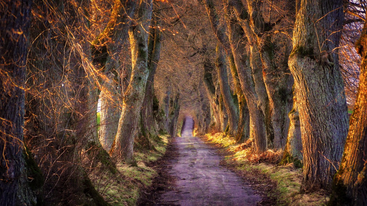 best365登录网页版