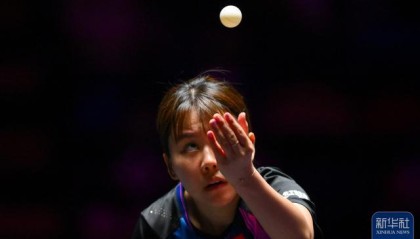 best365登录网页版-乒乓球丨WTT澳门冠军赛：陈幸同晋级女单16强