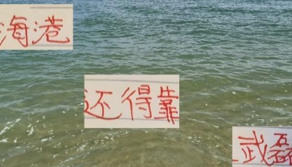 海港可以没有奥斯卡 但不能没有武磊 他的替代者打硬战 还是隐身