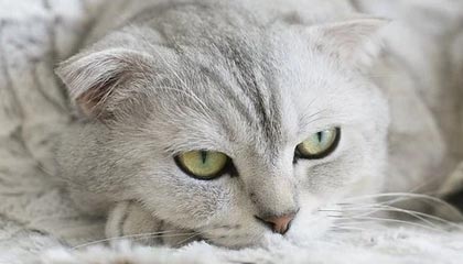 开云娱乐——开启你的精彩娱乐新世界