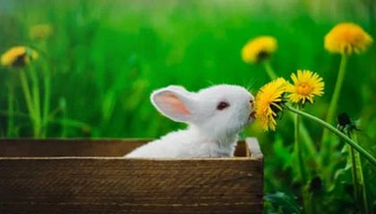 开云娱乐——开启你的精彩娱乐新世界